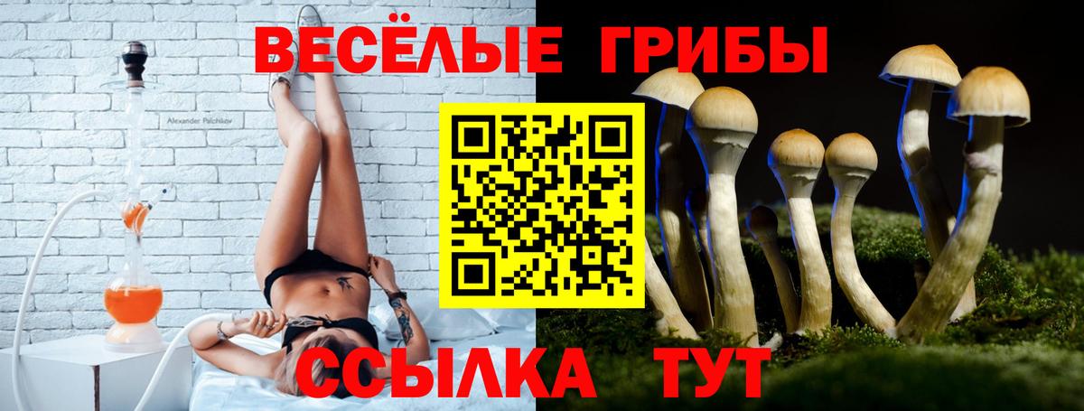 Псилоцибиновые грибы Psilocybine cubensis  Вход с VPN  Пермь  Псилоцибиновые грибы Psilocybe 